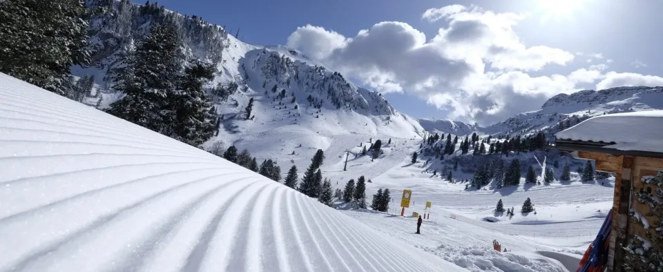 Pista appena battuta all'Alpe di Pampeago
