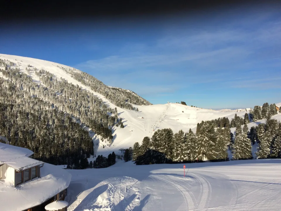 Pista da sci tra i boschi innevati